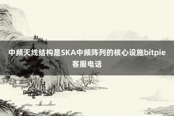 中频天线结构是SKA中频阵列的核心设施bitpie客服电话