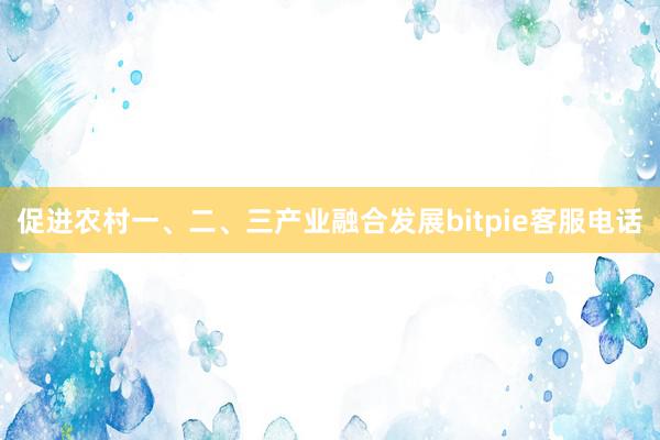 促进农村一、二、三产业融合发展bitpie客服电话