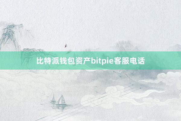 比特派钱包资产bitpie客服电话