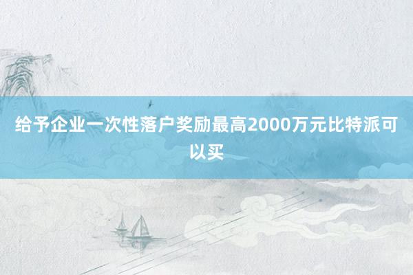 给予企业一次性落户奖励最高2000万元比特派可以买