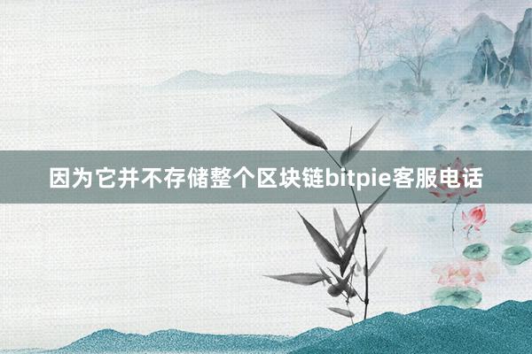 因为它并不存储整个区块链bitpie客服电话