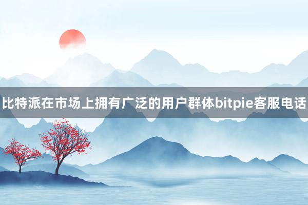 比特派在市场上拥有广泛的用户群体bitpie客服电话