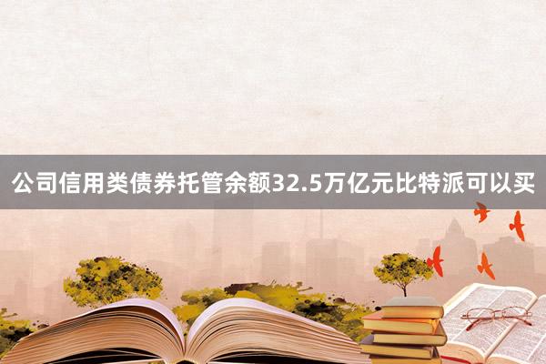 公司信用类债券托管余额32.5万亿元比特派可以买