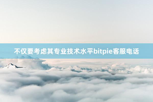 不仅要考虑其专业技术水平bitpie客服电话