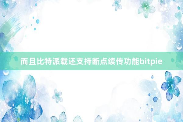 而且比特派载还支持断点续传功能bitpie