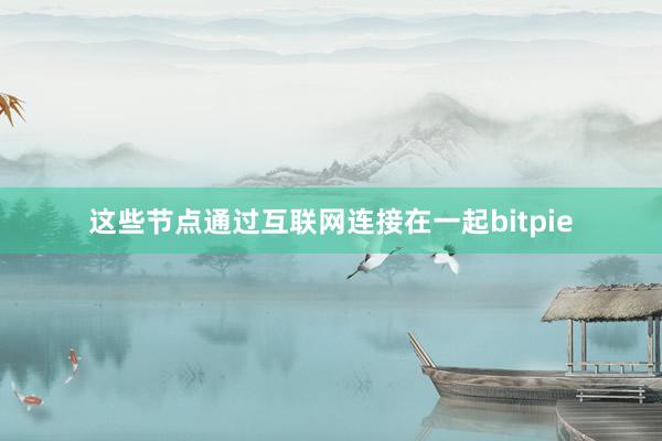 这些节点通过互联网连接在一起bitpie