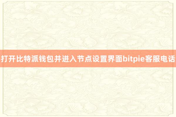 打开比特派钱包并进入节点设置界面bitpie客服电话