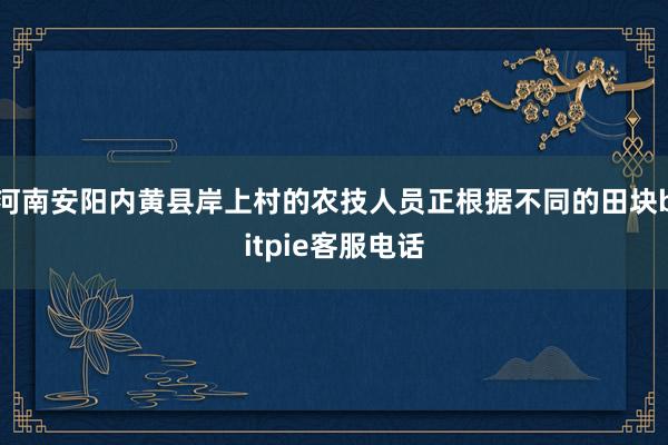 河南安阳内黄县岸上村的农技人员正根据不同的田块bitpie客服电话