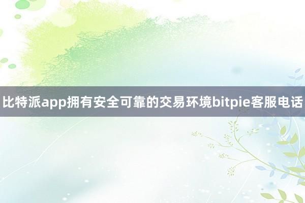 比特派app拥有安全可靠的交易环境bitpie客服电话