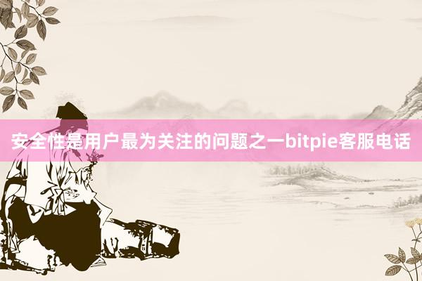 安全性是用户最为关注的问题之一bitpie客服电话