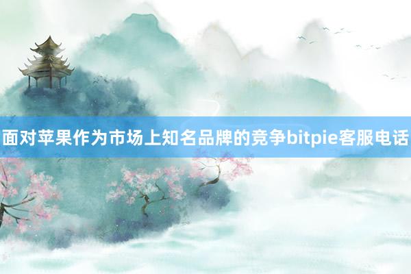 面对苹果作为市场上知名品牌的竞争bitpie客服电话