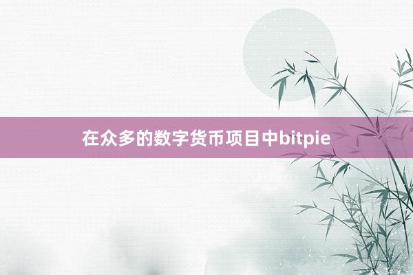 在众多的数字货币项目中bitpie