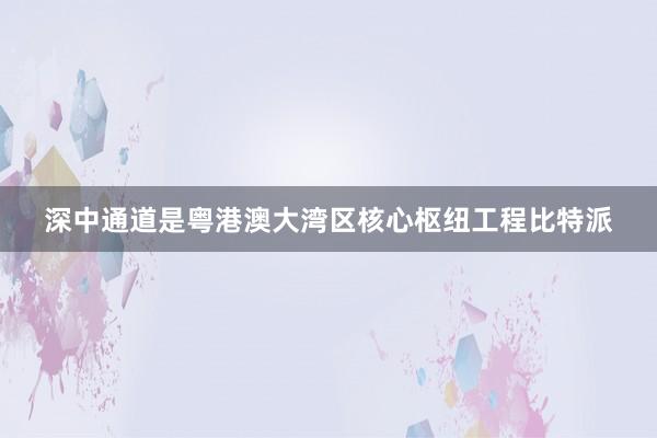 深中通道是粤港澳大湾区核心枢纽工程比特派