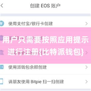 用户只需要按照应用提示进行注册{比特派钱包}