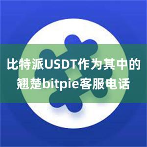 比特派USDT作为其中的翘楚bitpie客服电话