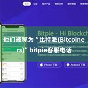 他们被称为“比特派(Bitcoiners)”bitpie客服电话