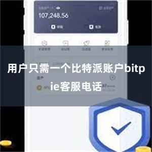 用户只需一个比特派账户bitpie客服电话